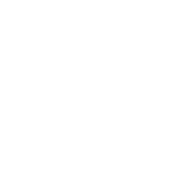 فینورو